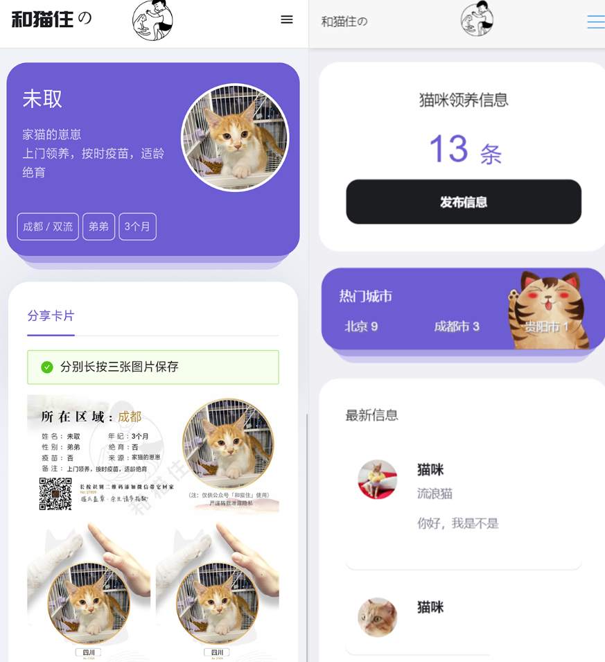 最新流浪猫狗H5运营源码完整下载，支持封装成APP-159e资源网