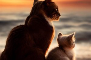 明明德的头像-159e资源网