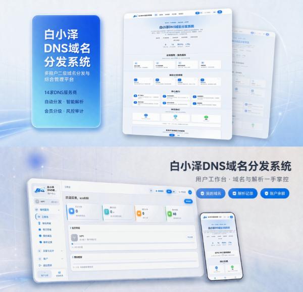 白小泽DNS域名分发系统 公测版 v1.0.0-159e资源网
